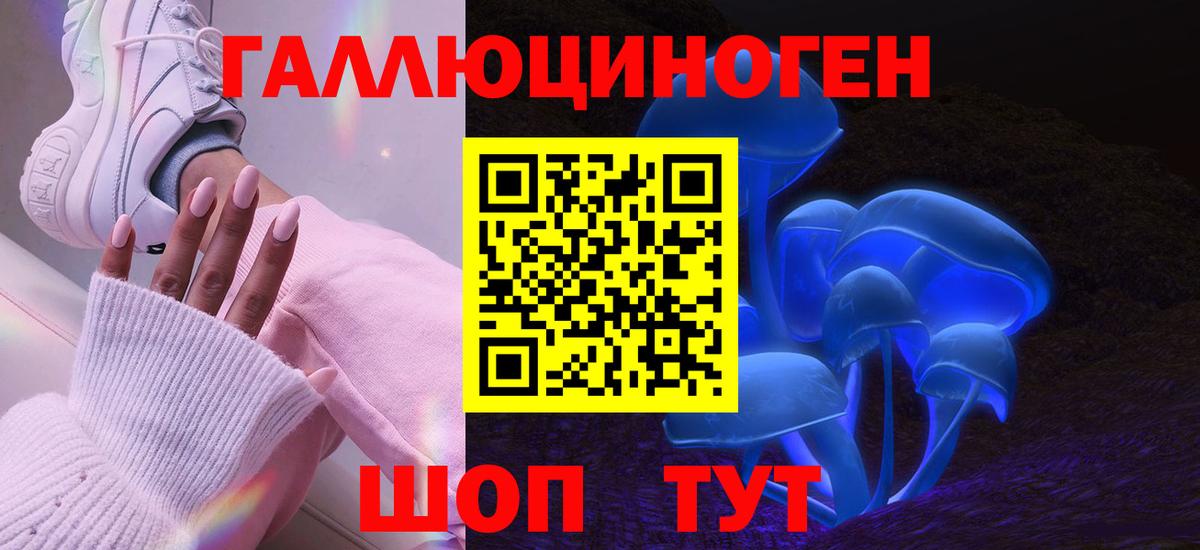 Лосино-Петровский  Псилоцибиновые грибы Cubensis  магазин продажи   Вход с VPN  Псилоцибиновые грибы Psilocybine cubensis 